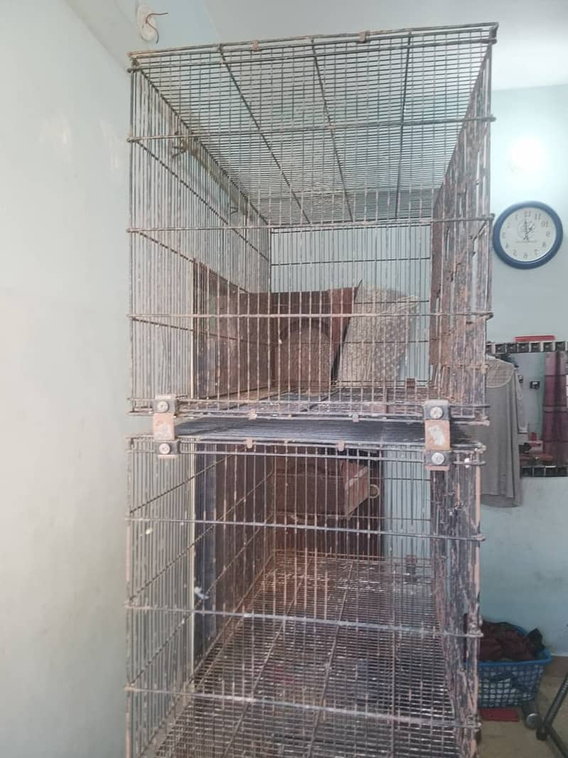 Cages 3
