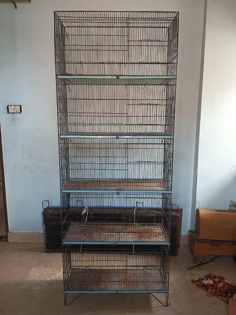 Cages 9