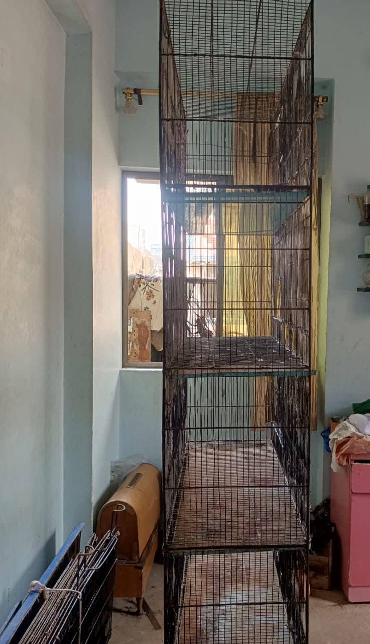 Cages 11
