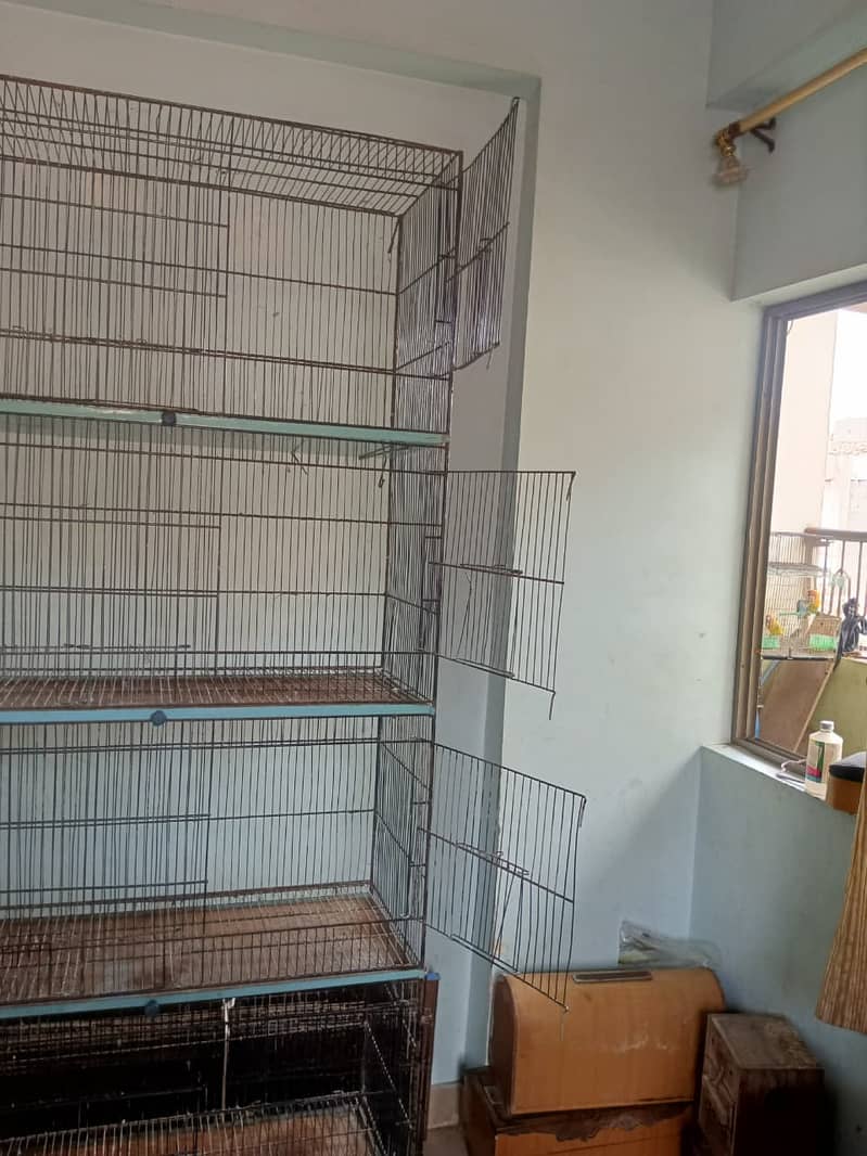 Cages 12