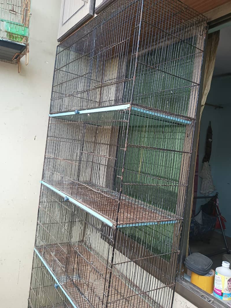 Cages 13