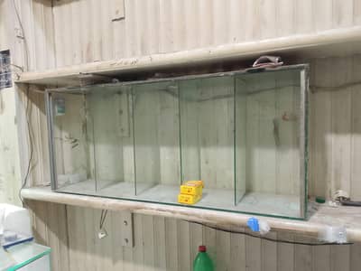 display counter