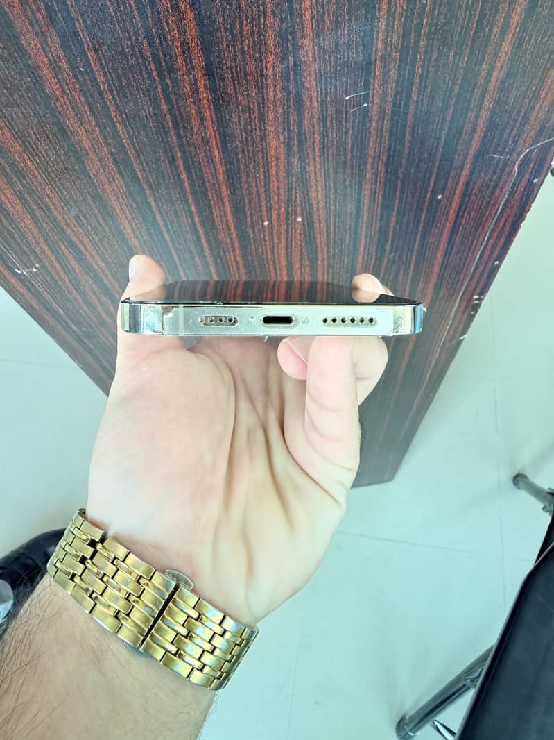 Apple iPhone 13 Pro Max 1