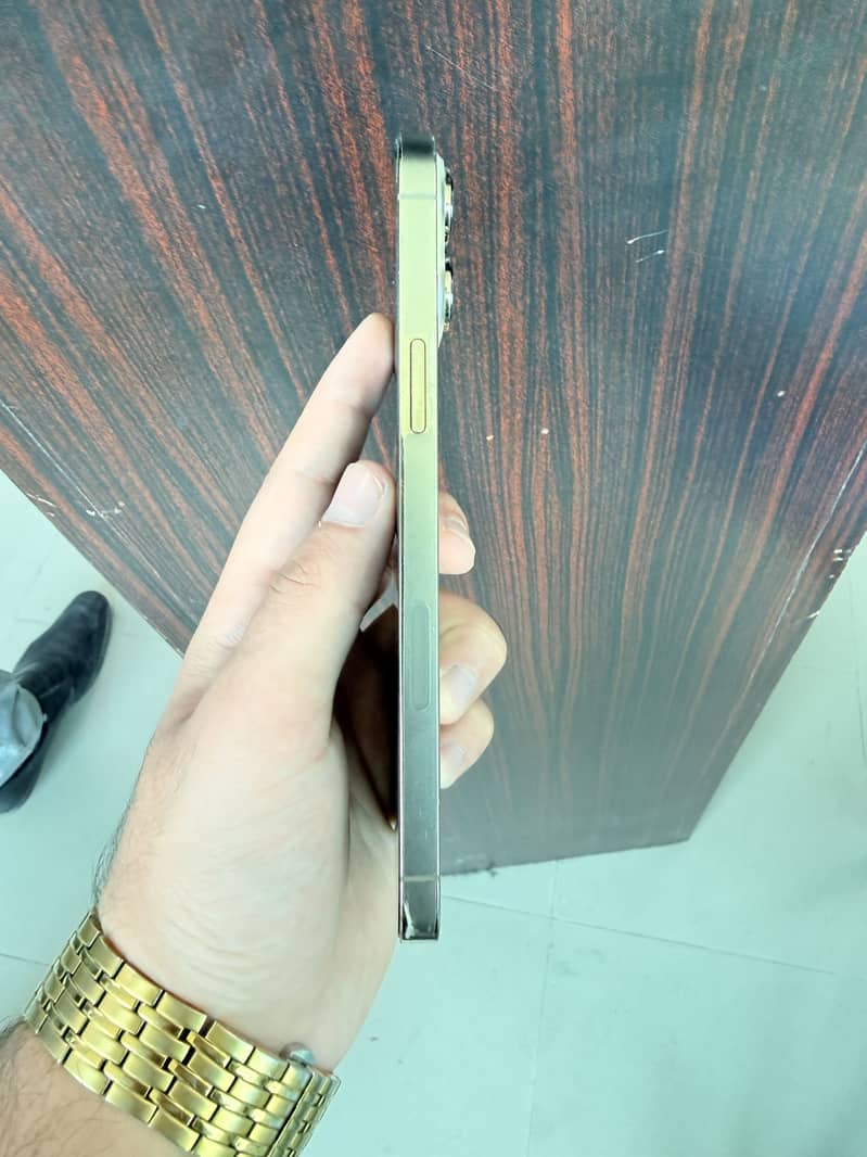 Apple iPhone 13 Pro Max 4