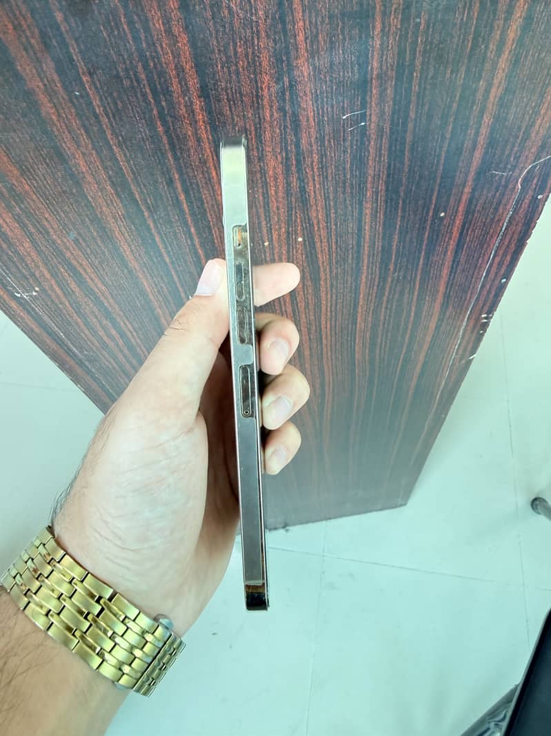 Apple iPhone 13 Pro Max 6