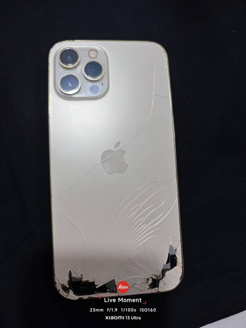 Apple iPhone 12 Pro Max 1