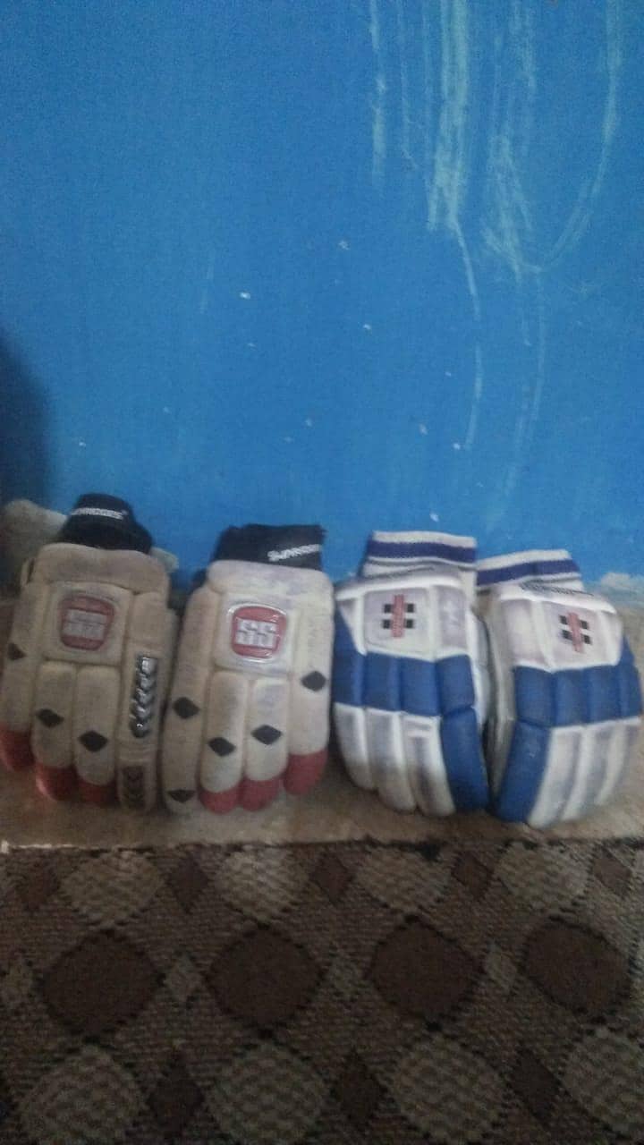 cricket kit 6
