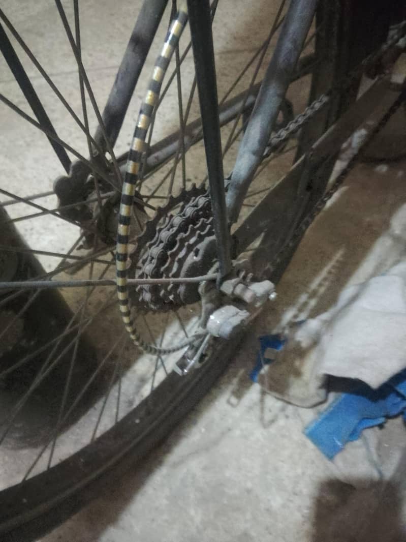 bicycle 3