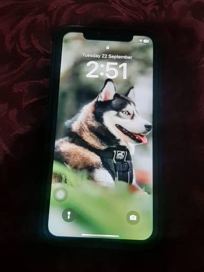 Apple iPhone XR
