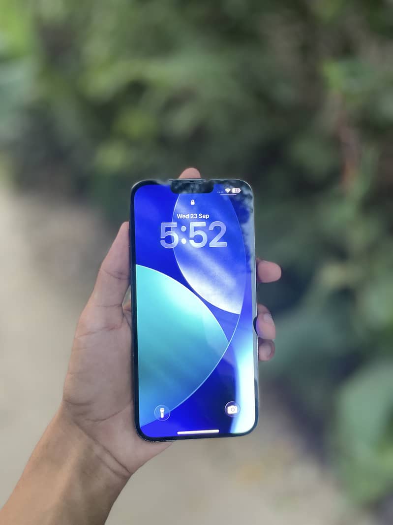 Apple iPhone 13 Pro Max 1