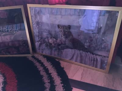 Frames for sale, 2x3ft size, brand new, cheetah design.