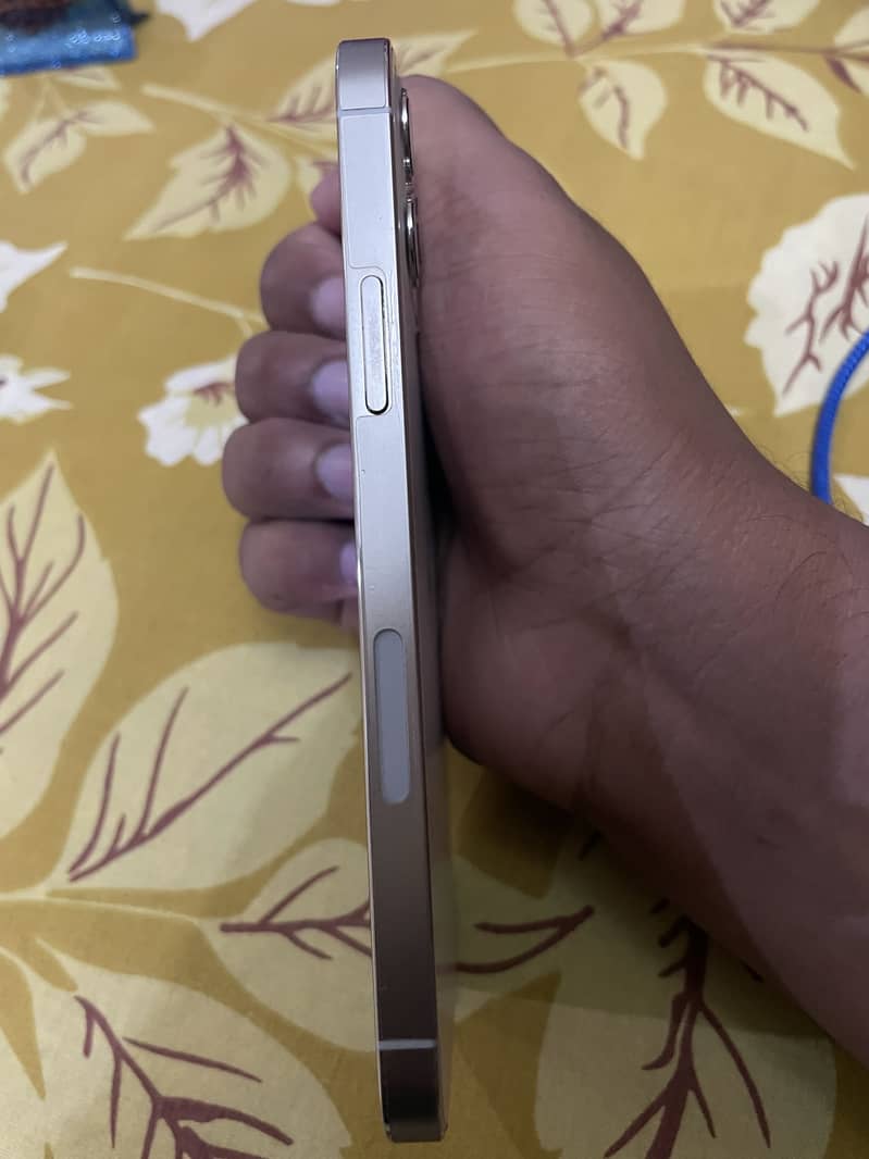 Apple iPhone 12 Pro 2