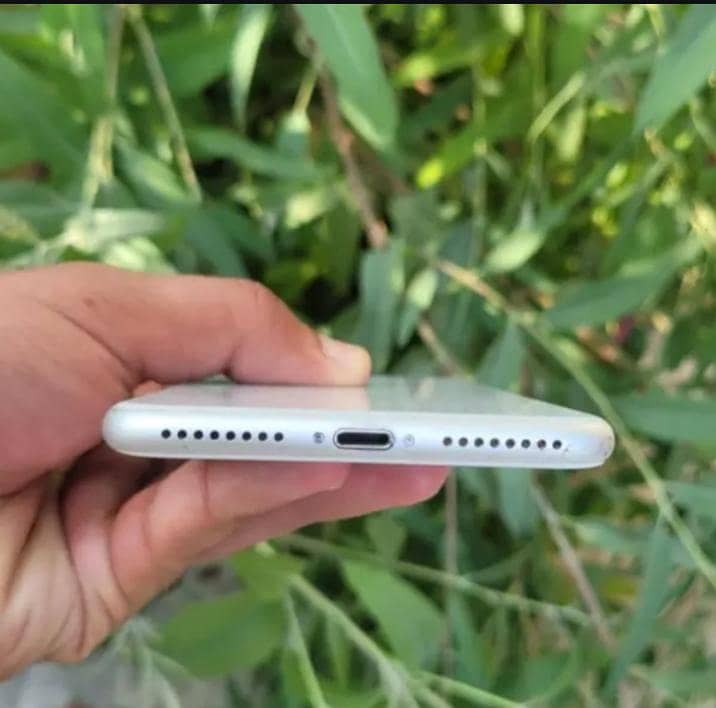 Apple iPhone 8 Plus 1