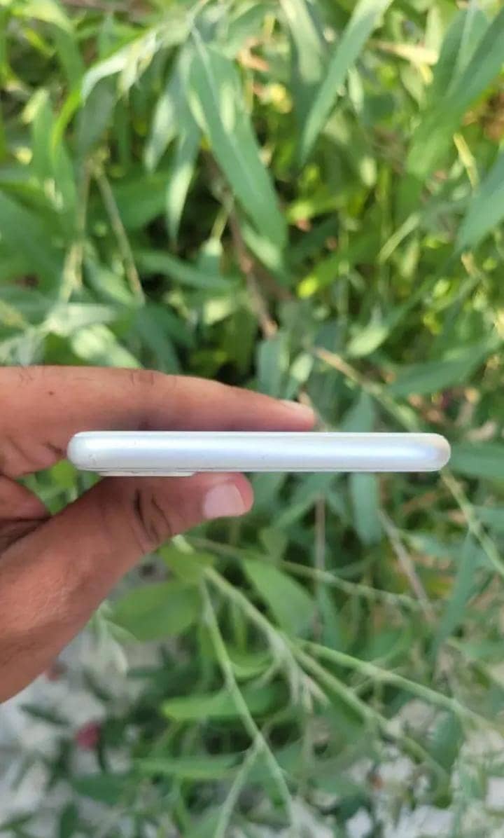 Apple iPhone 8 Plus 3