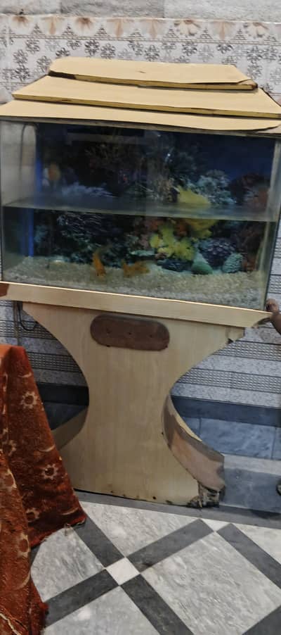 3 feet Aquarium big size with all accessories