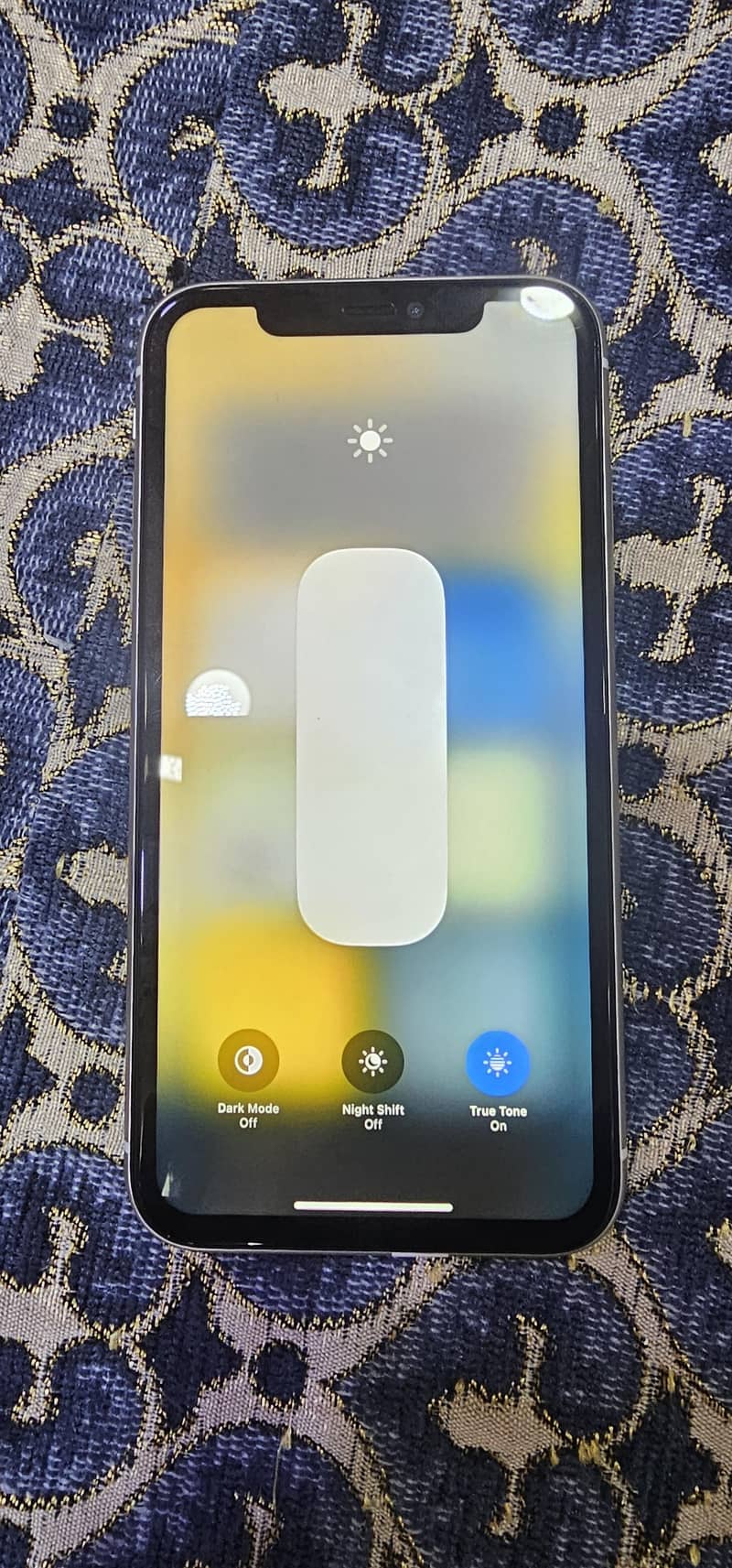 Apple iPhone 11 2