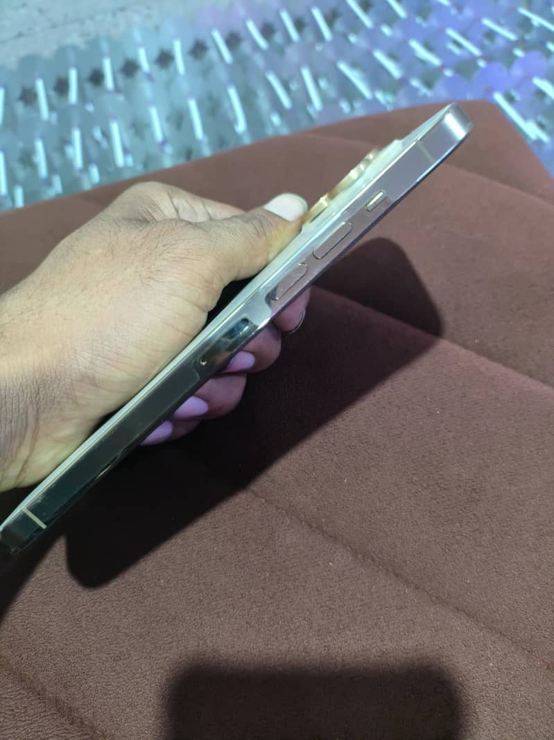 Apple iPhone 13 Pro Max 7