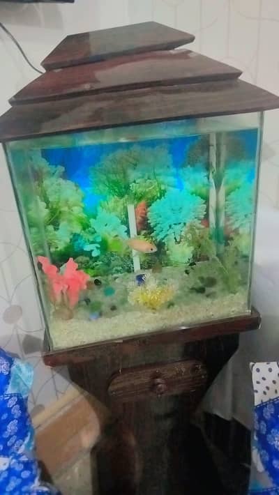 fish box