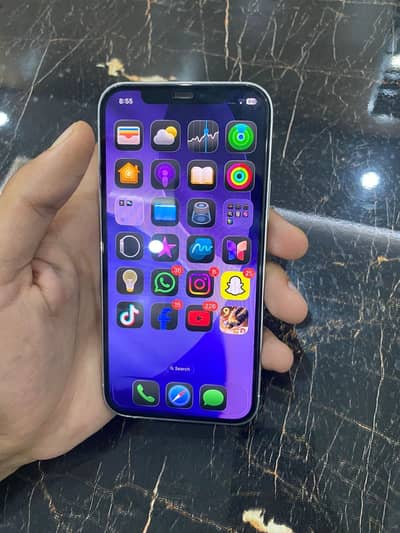 Apple iPhone 12 Pro