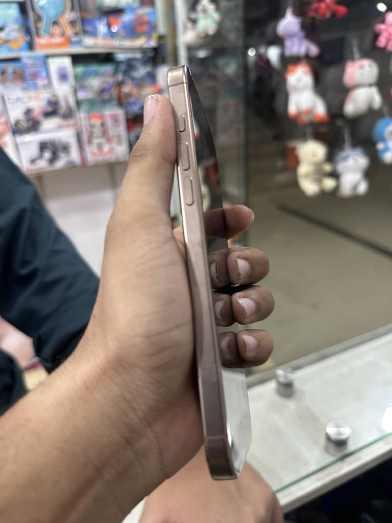 Apple iPhone 16 Pro Max 1