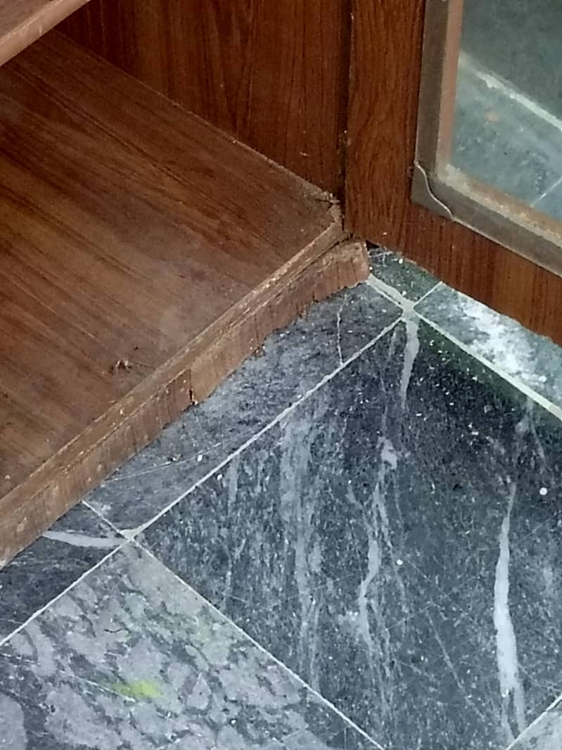 Kitchen Cabinet 5