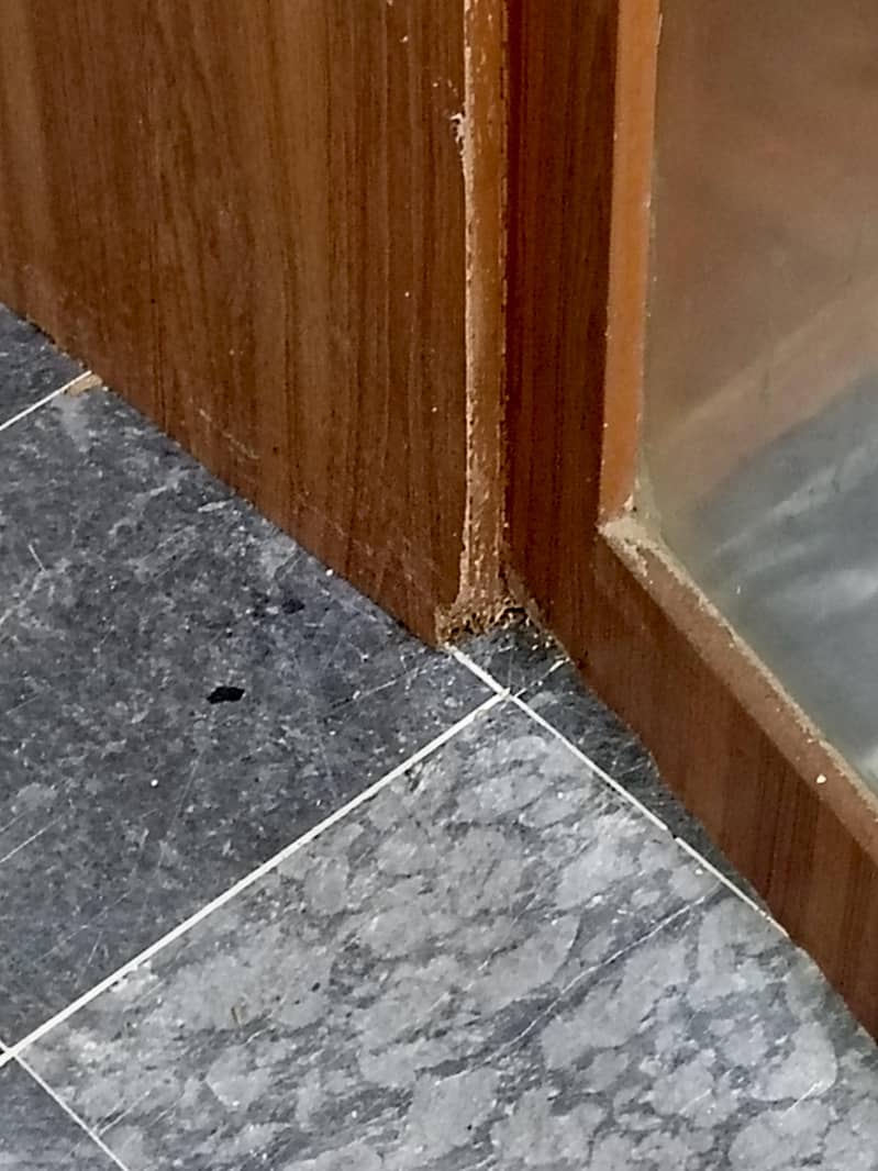 Kitchen Cabinet 6