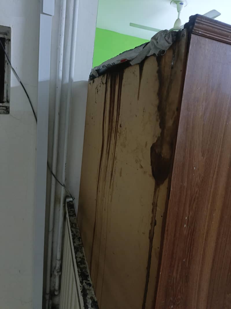 Kitchen Cabinet 7