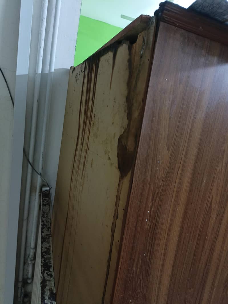 Kitchen Cabinet 9