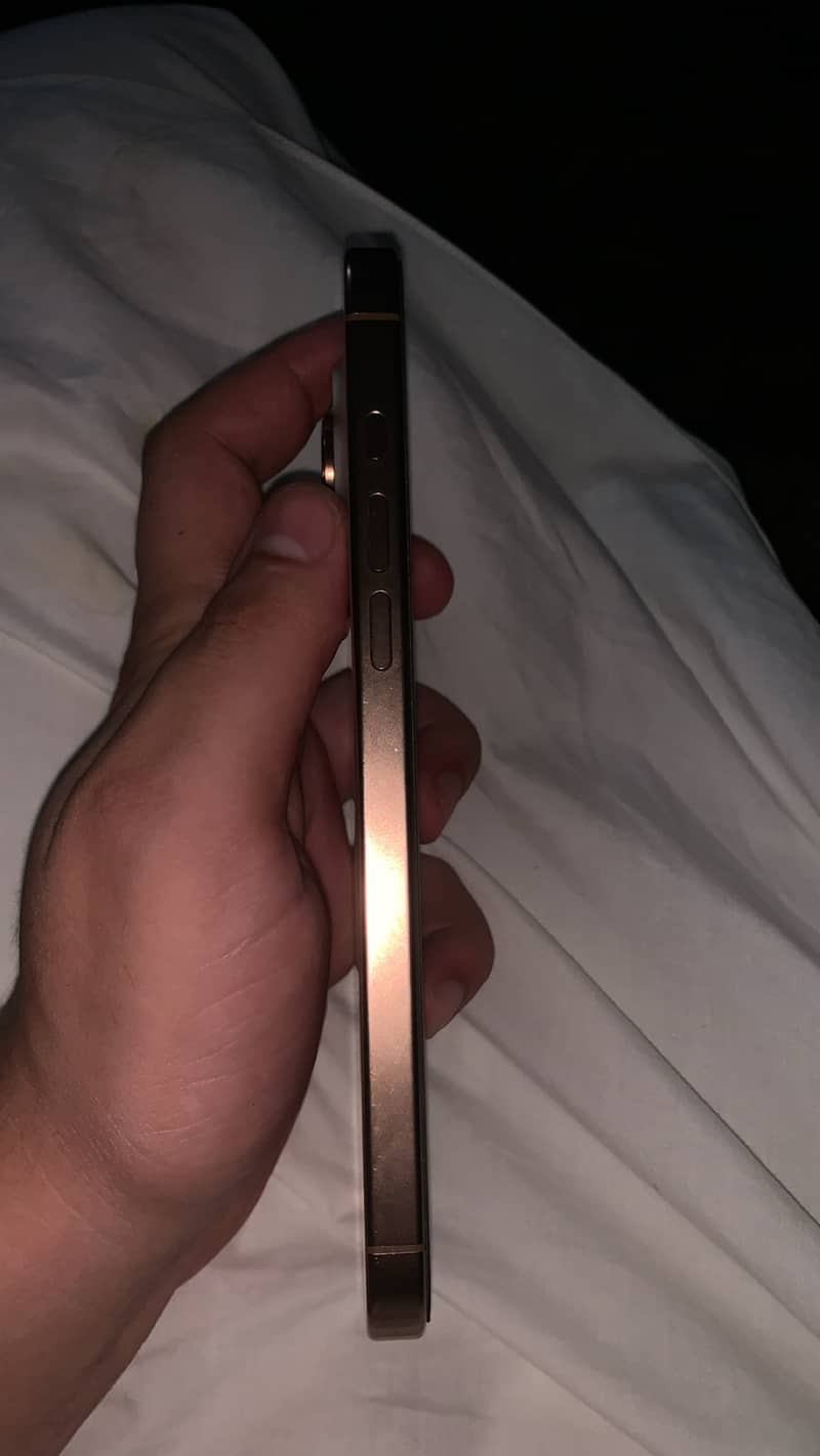 Apple iPhone 16 Pro Max 1