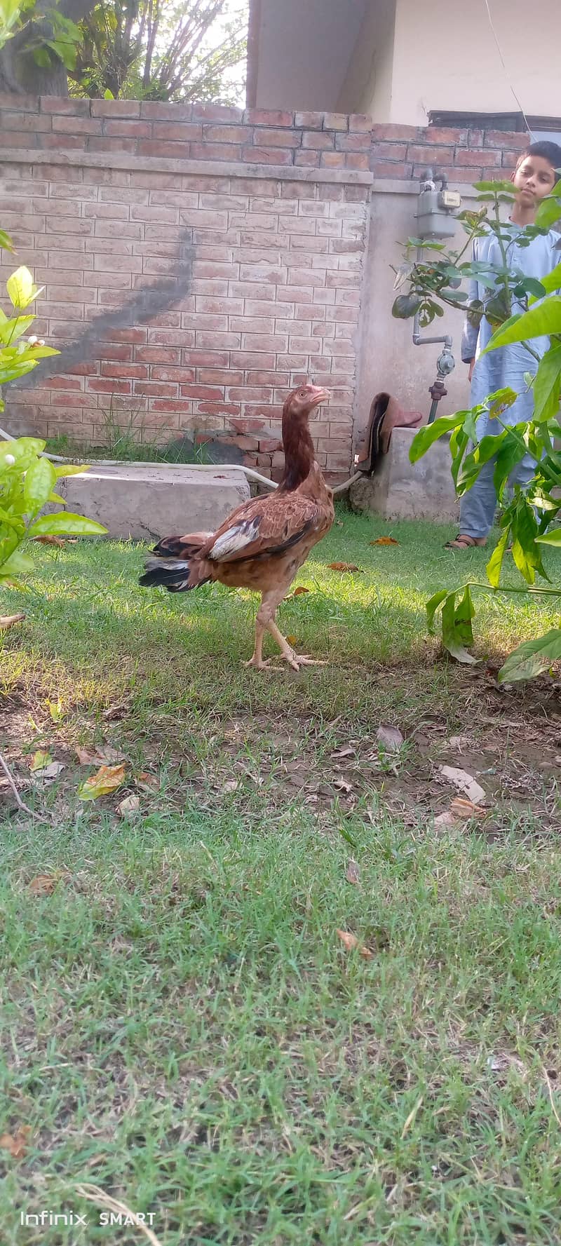 Mianwali 0