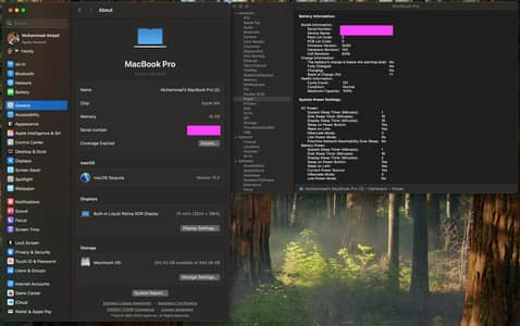 MacBook Pro M4 (with Nano-Texture screen)