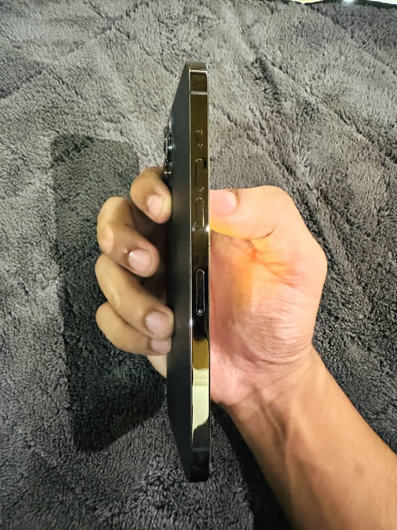 Apple iPhone 12 Pro Max 2