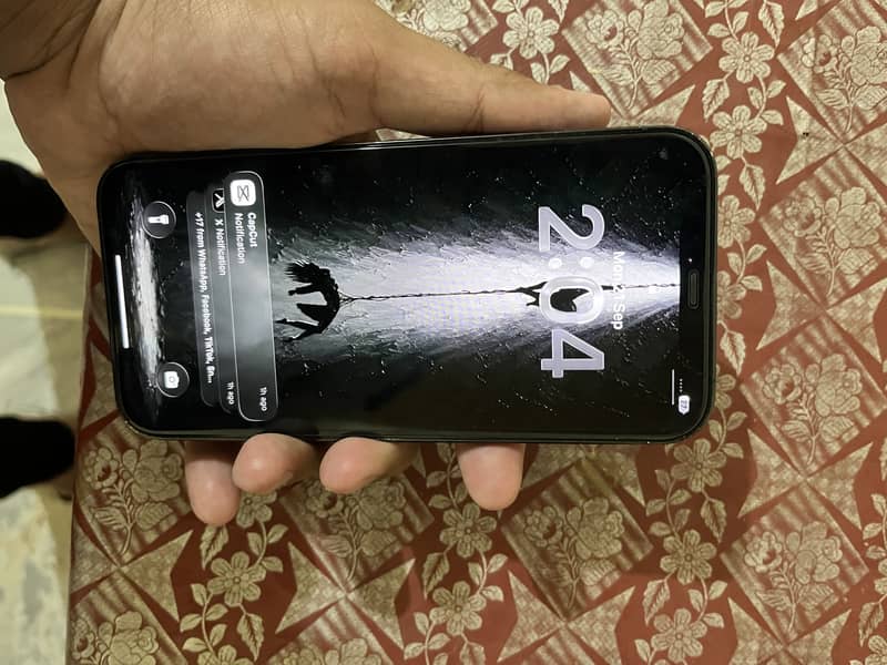 Apple iPhone 12 Pro Max 4