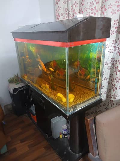 Aquarium for Sale – 4.25 Feet