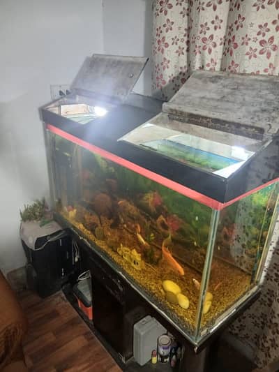 Aquarium for Sale – 4.25 Feet