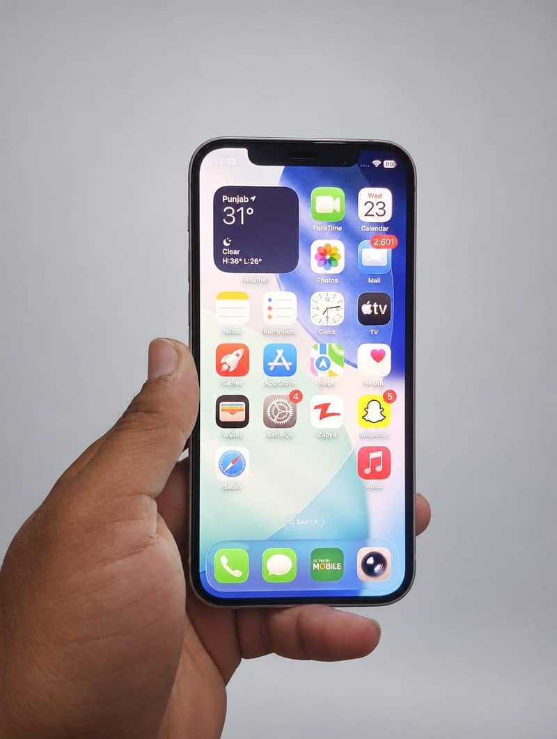 Apple iPhone 12 0