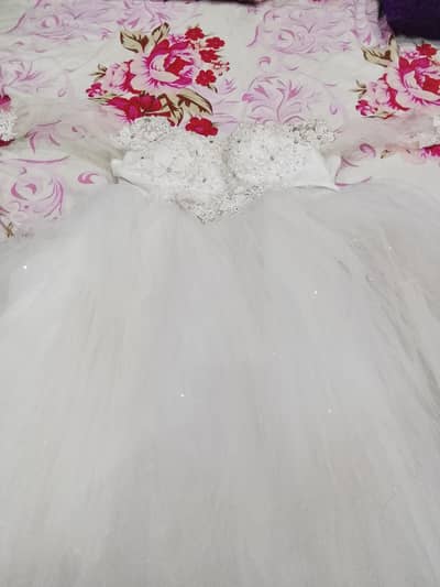 fairy frouq