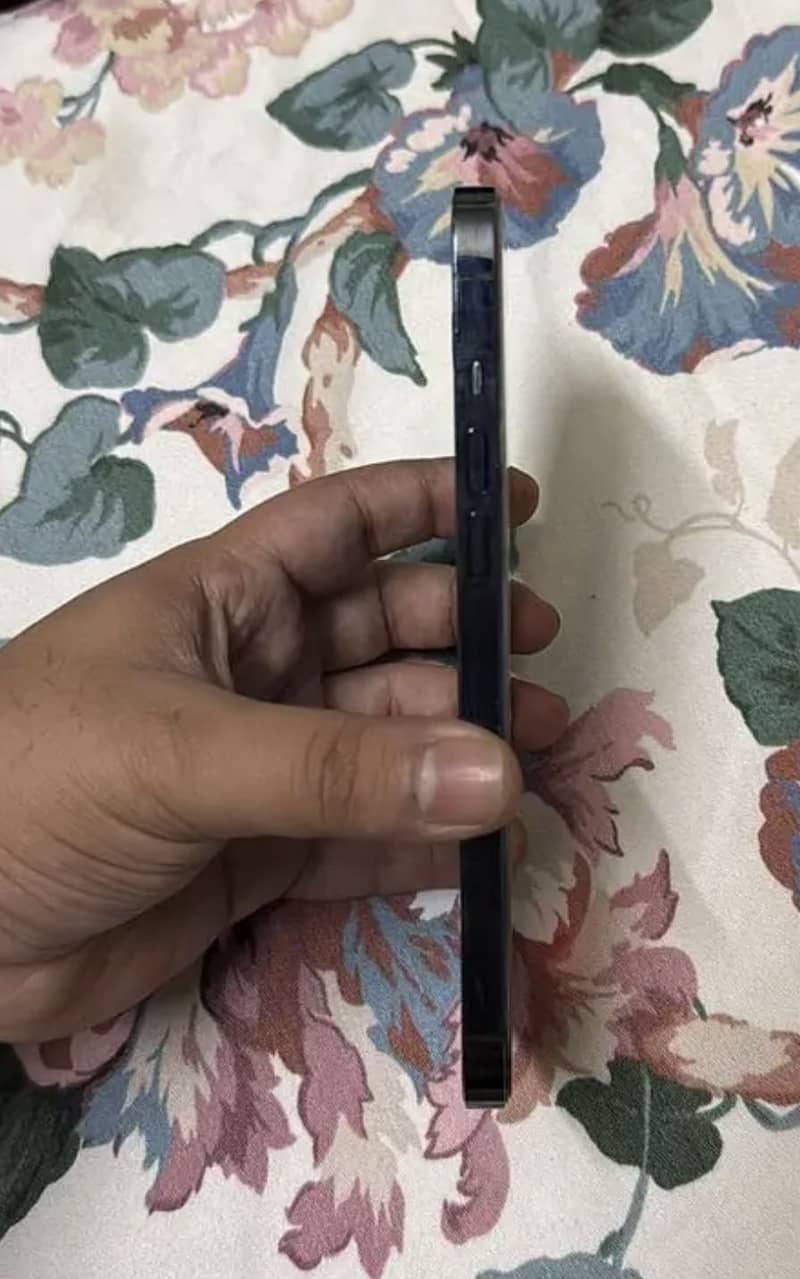 Iphone 12 pro max 1