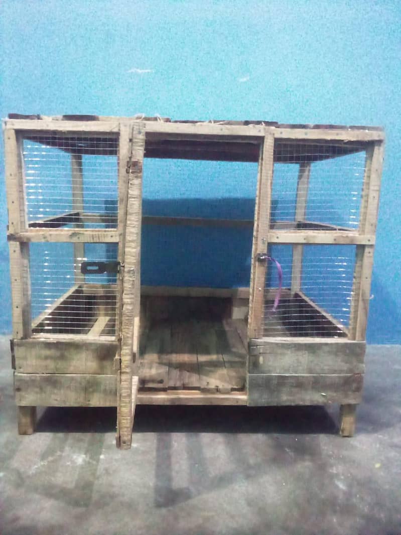 hen's cage 1