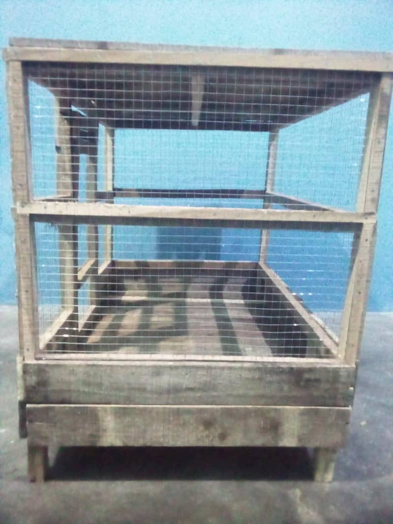 hen's cage 3