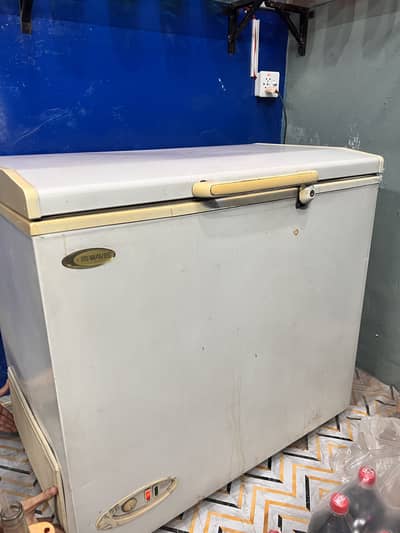 Waves  brand Freezer