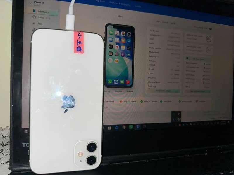 Apple iPhone 11 3