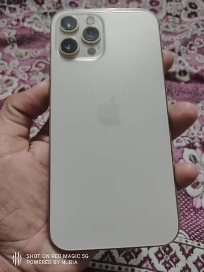 Apple iPhone 12 Pro Max