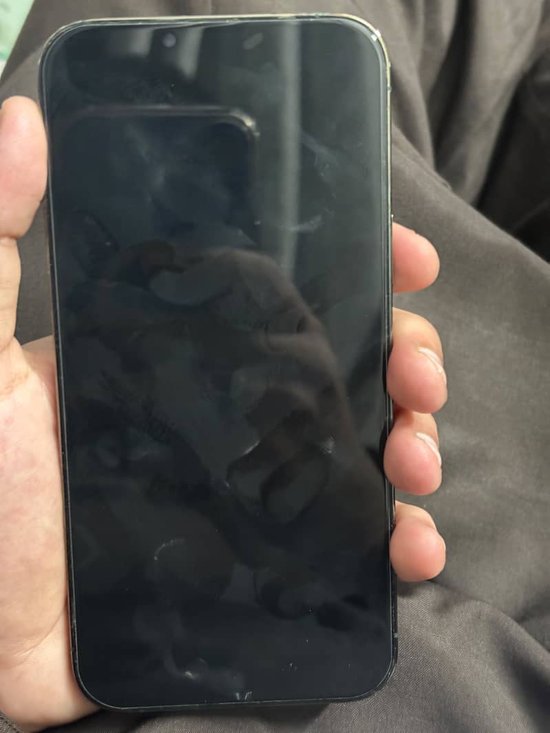 Apple iPhone 13 Pro Max 3