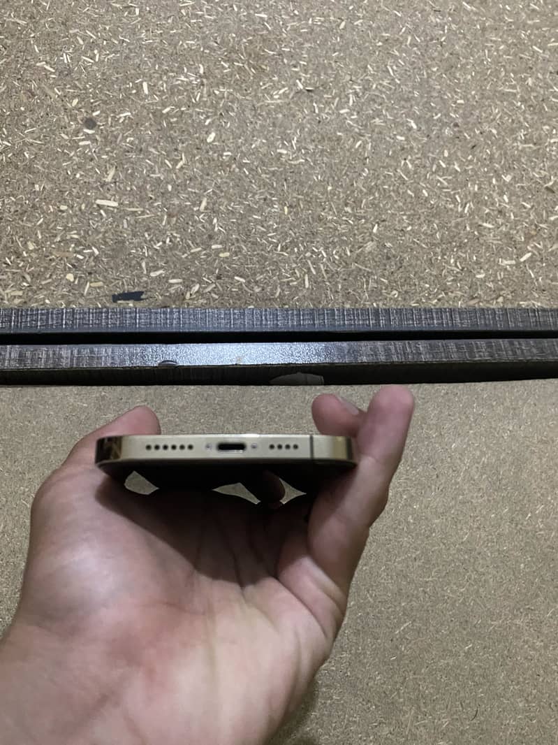 Apple iPhone 12 Pro Max 1