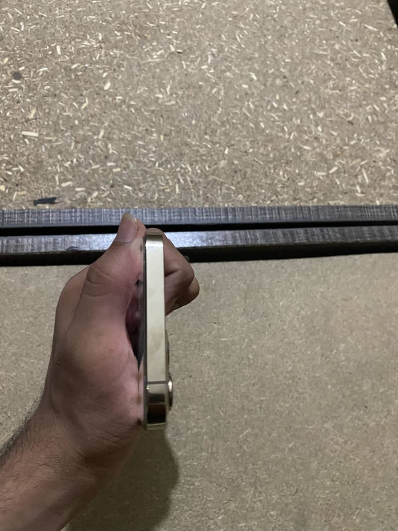 Apple iPhone 12 Pro Max 3