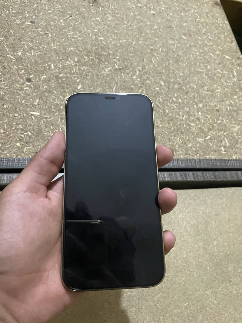 Apple iPhone 12 Pro Max 5