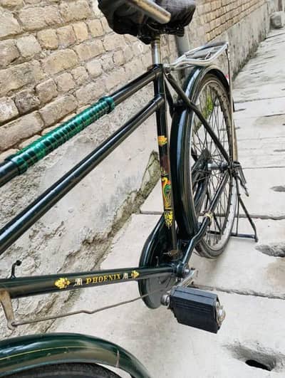 China cycle phoenix for sale 0325=3311626 Whatsapp number
