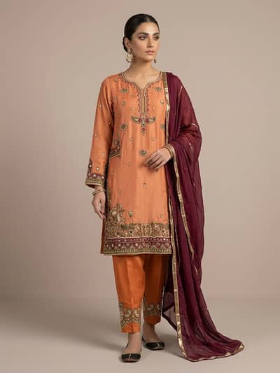 Embroidered Suit / Fancy Party Wear / Wedding Wear Dress / Suit