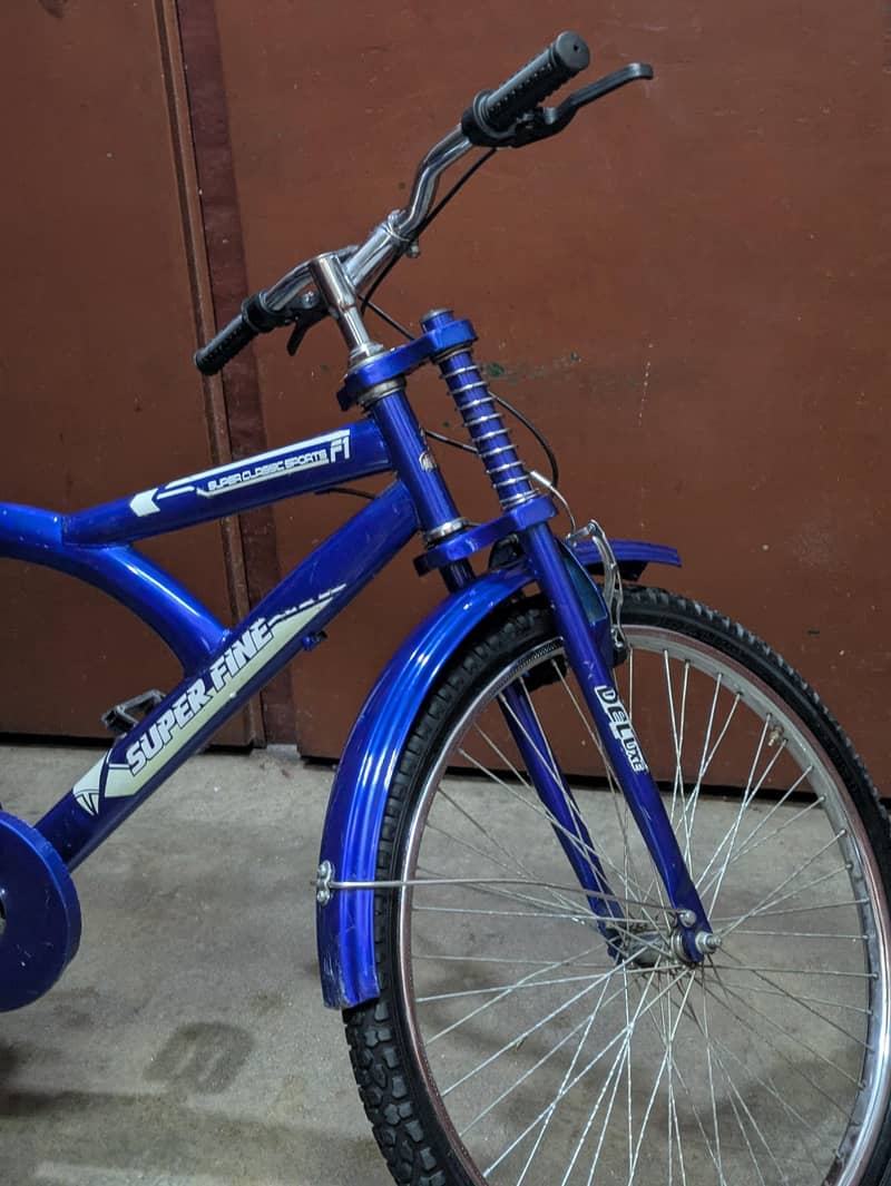 BICYCLE CLEAN AND RUSTLESS 0